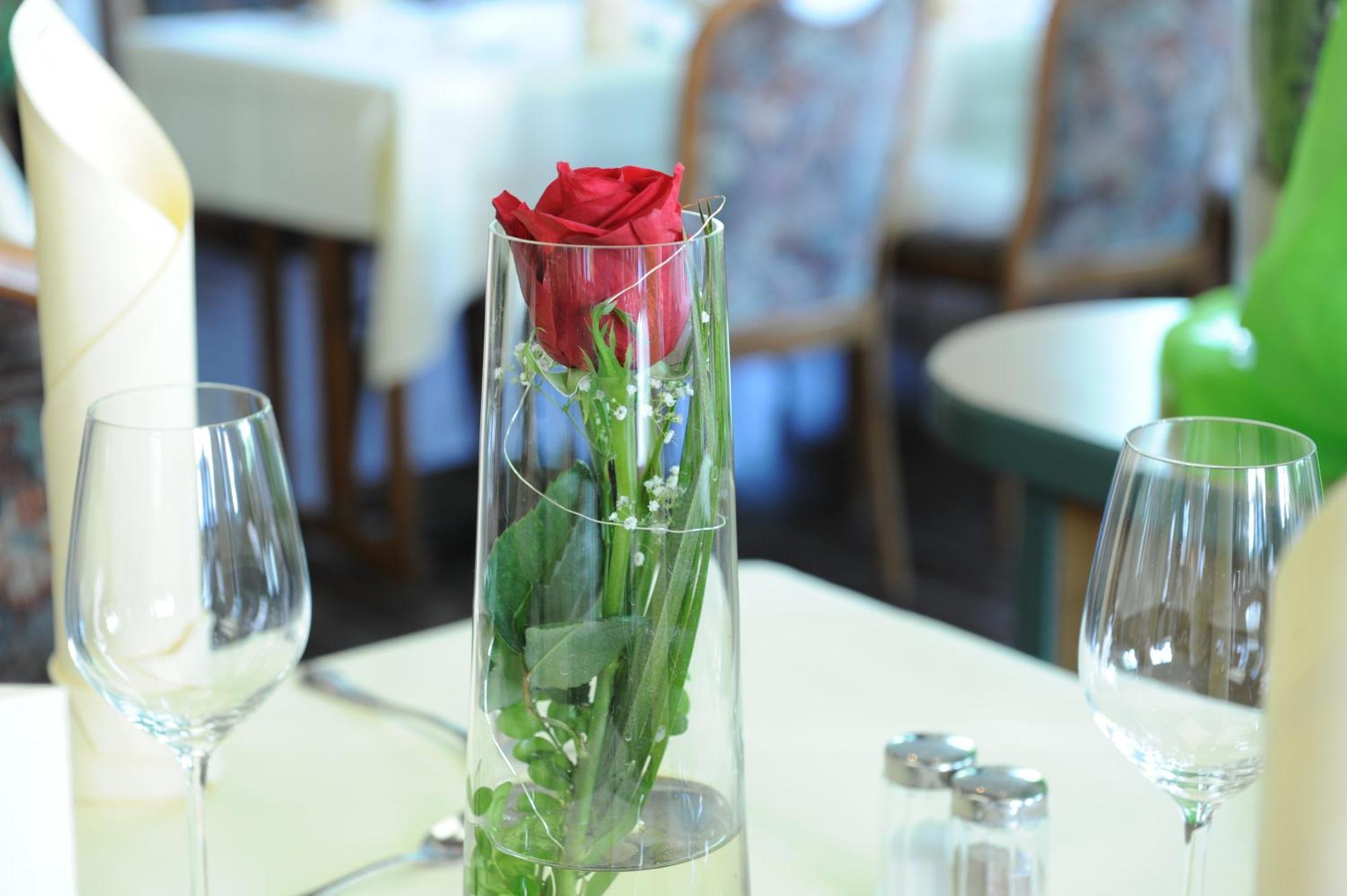 Hotel Gasthaus Appel Krug ديلبروك المظهر الخارجي الصورة